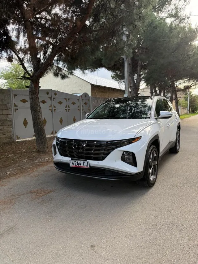 Hyundai Limited 4dr All-Wheel Drive Au — миниатюра 1