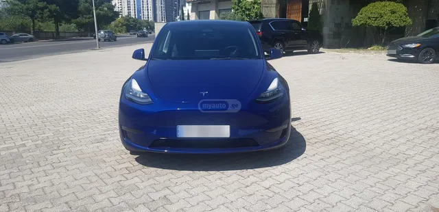 Tesla long rang dual motor — миниатюра 1