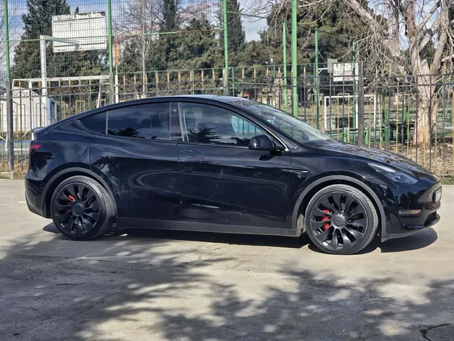 Tesla Performance — миниатюра 1