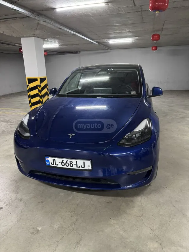 Tesla Long Range Dual Motor — миниатюра 1