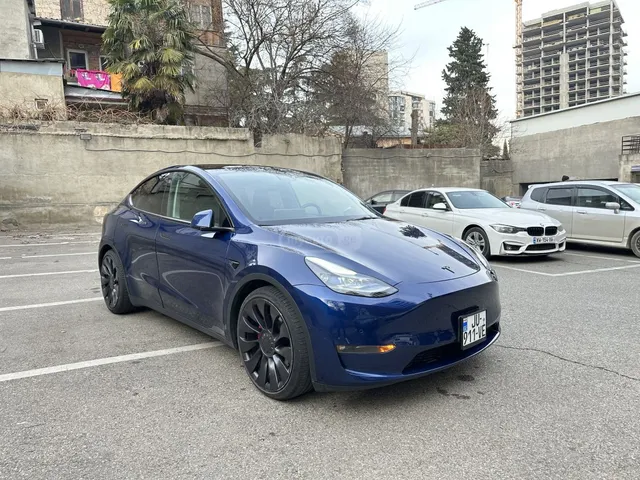 Tesla Performance — миниатюра 1