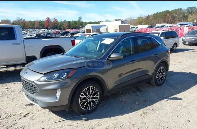 Ford SEL Hybrid 4dr All-Wheel Drive — миниатюра 1