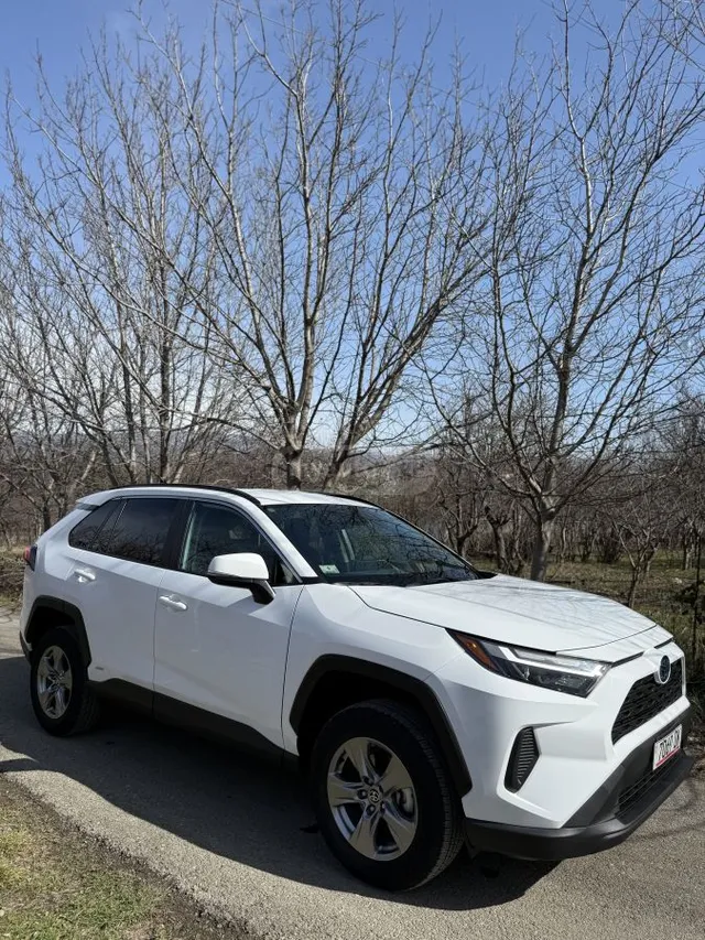 Toyota XLE 4dr All Wheel Drive Automa — миниатюра 1