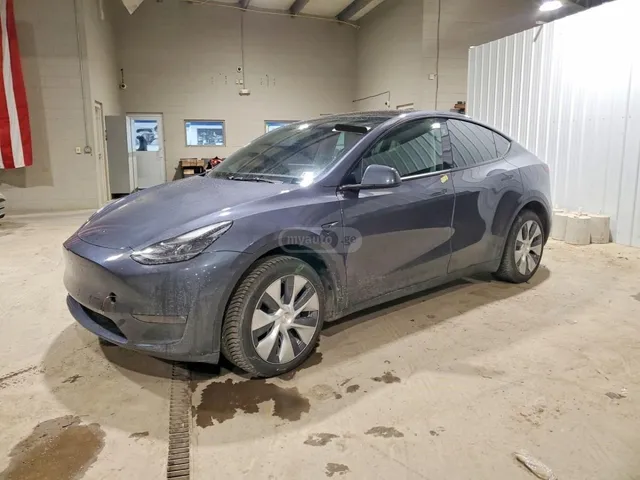 Tesla Dual Motor — миниатюра 1