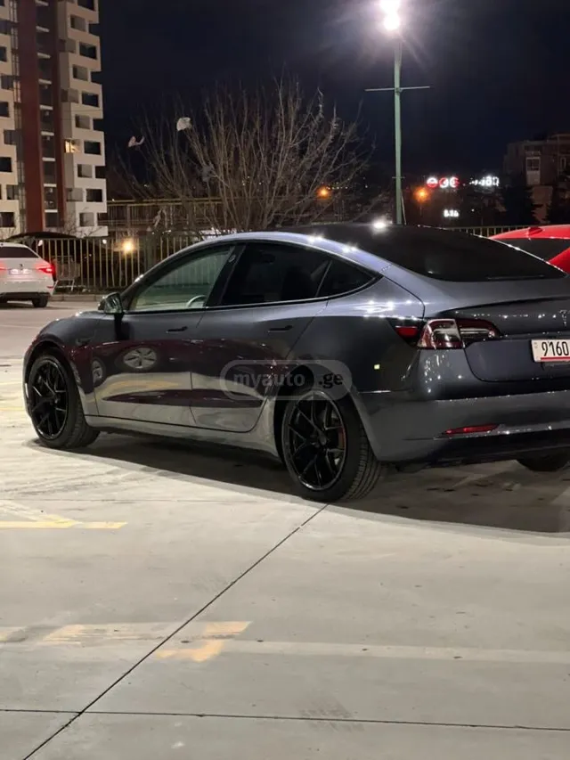 Tesla Performance — миниатюра 1