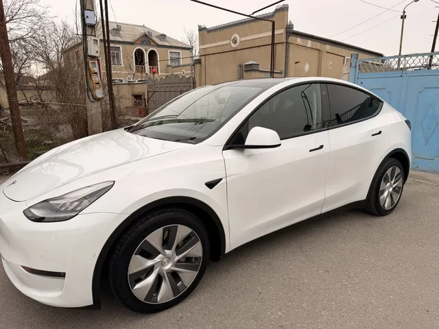 Tesla DUAL MOTOR LONG RANGE — миниатюра 1