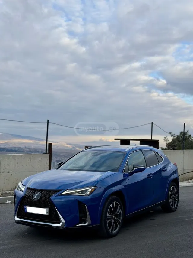 Lexus Luxury — миниатюра 1