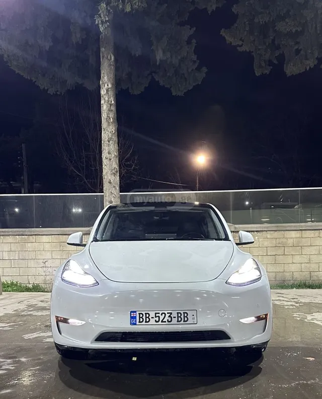 Tesla Performance — миниатюра 1