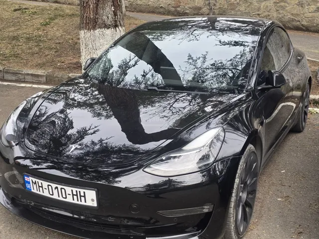 Tesla Performance — миниатюра 1