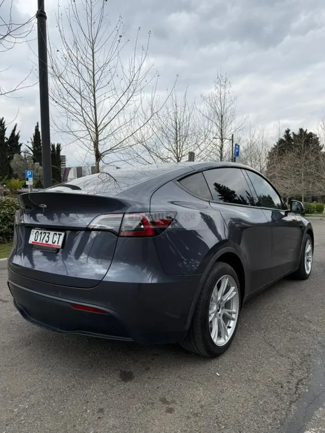 Tesla Dual Motor Long Range — миниатюра 1