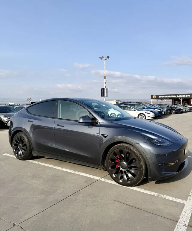 Tesla PERFORMANCE — миниатюра 1