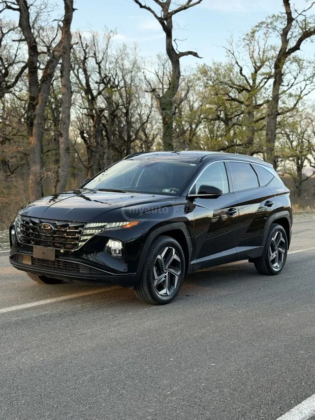 Hyundai Limited 4dr All-Wheel Drive Au — миниатюра 1