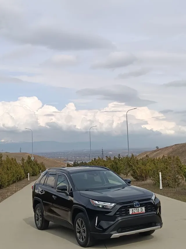 Toyota XLE Premium 4dr Front-Wheel Dr — миниатюра 1