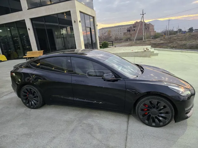 Tesla Performance — миниатюра 1