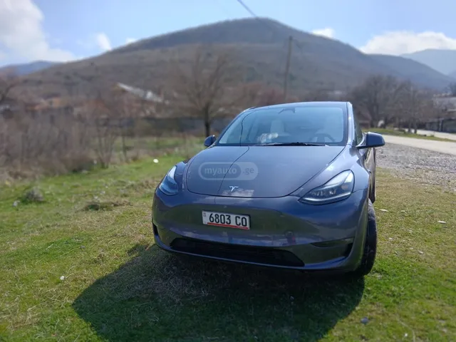 Tesla Long range dual motor — миниатюра 1