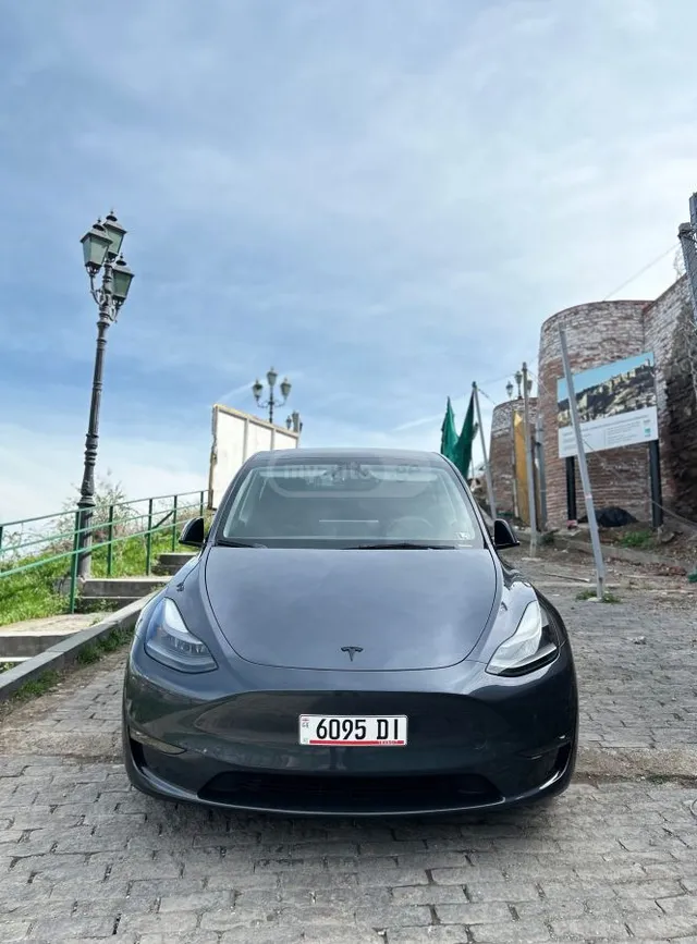 Tesla DUAL MOTOR PERFORMANCE — миниатюра 1