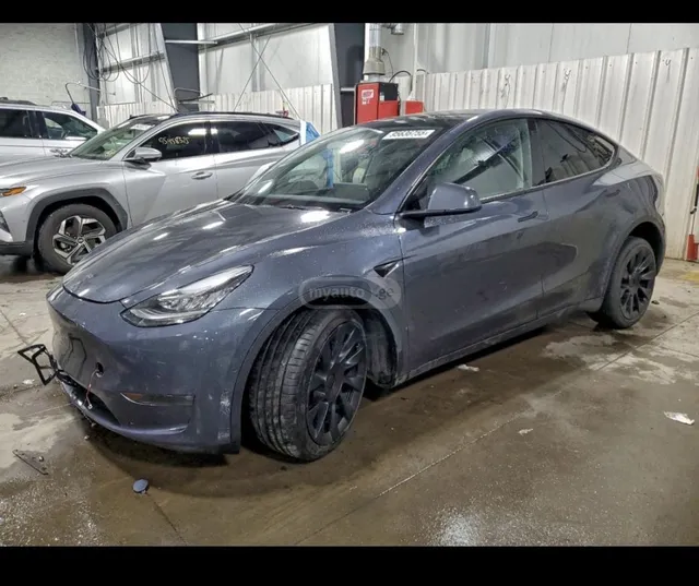 Tesla Dual Motor — миниатюра 1