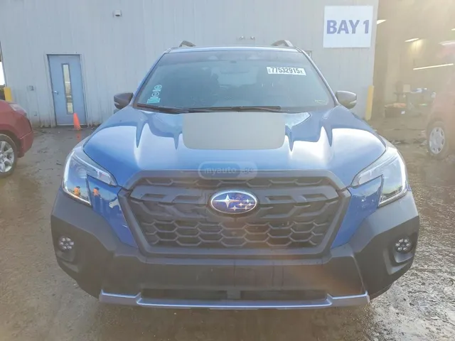 Subaru WILDERNESS — миниатюра 1