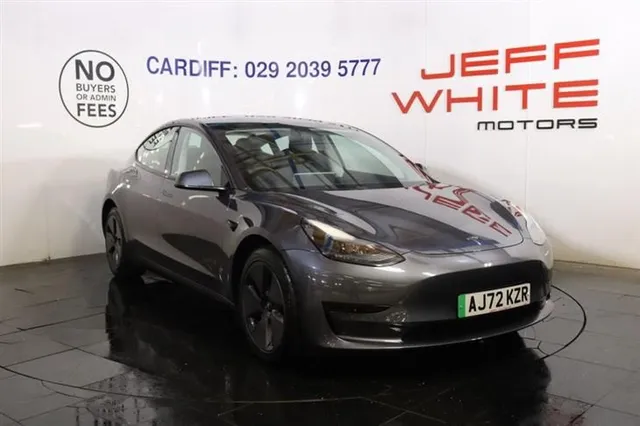 Tesla Model 3 TESLA Model 3 Saloon 4dr Auto RWD (PAN ROOF, FULL LEATHER) 2022 — миниатюра 1