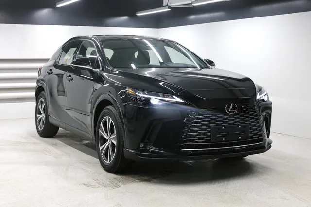 Lexus RX Enjoy — миниатюра 1