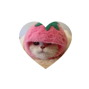 Котики в сердечках №6