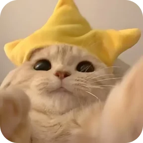 Котики в шапочках №1