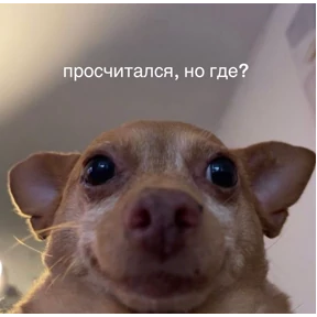 Пупупу №10