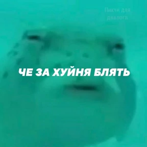 Пупупу №13