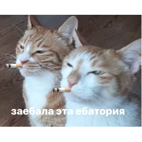 Stickersss №16