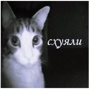 стики зески №1
