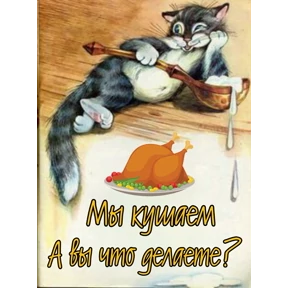 стики зески №37