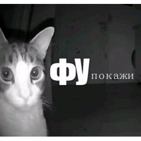 стики зески №50