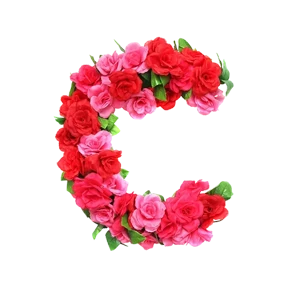 Цветобуквы №1