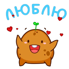 Картошечка №21