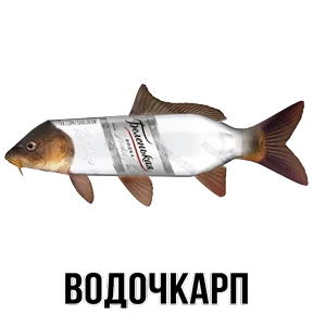 Звери №22