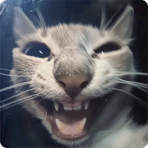 Котаны №25