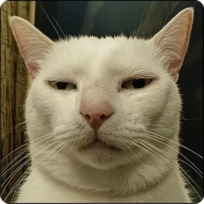 Котаны №63
