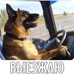 Собакены №78
