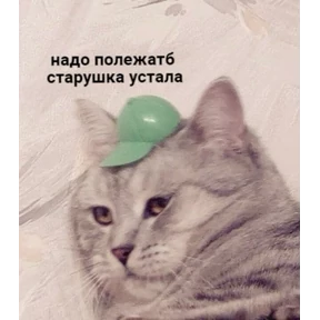 А ой №29