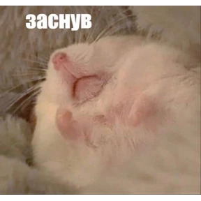 А ой №31