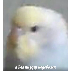 ХиханькиХаханьки №22
