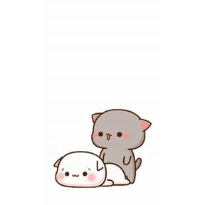 Котики №12