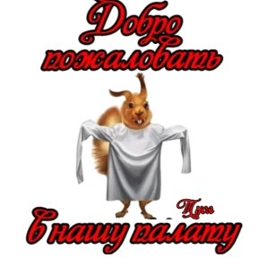 Туся Кальянов №41