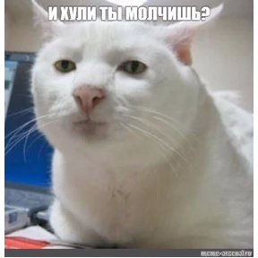 Базар №6