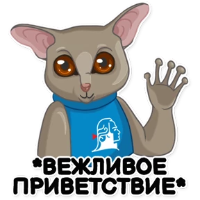 Галаго Демидова №1