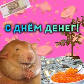 Memes №30