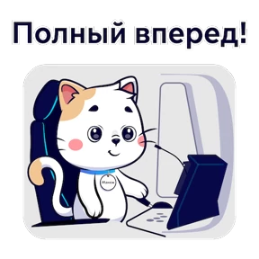 Кот Манеж №4
