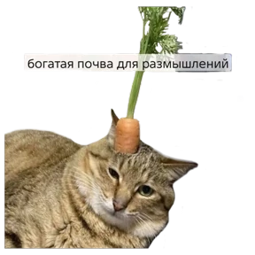 Котики №17