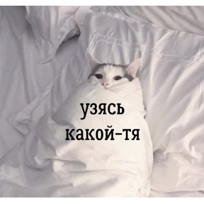 Муд №19