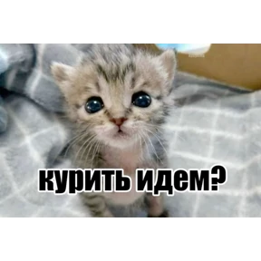 liookkl №47